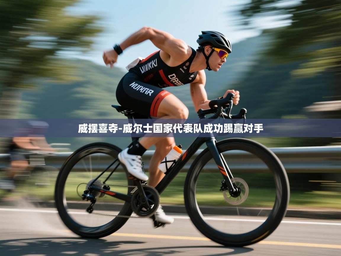 威摆喜夺-威尔士国家代表队成功踢赢对手  第2张