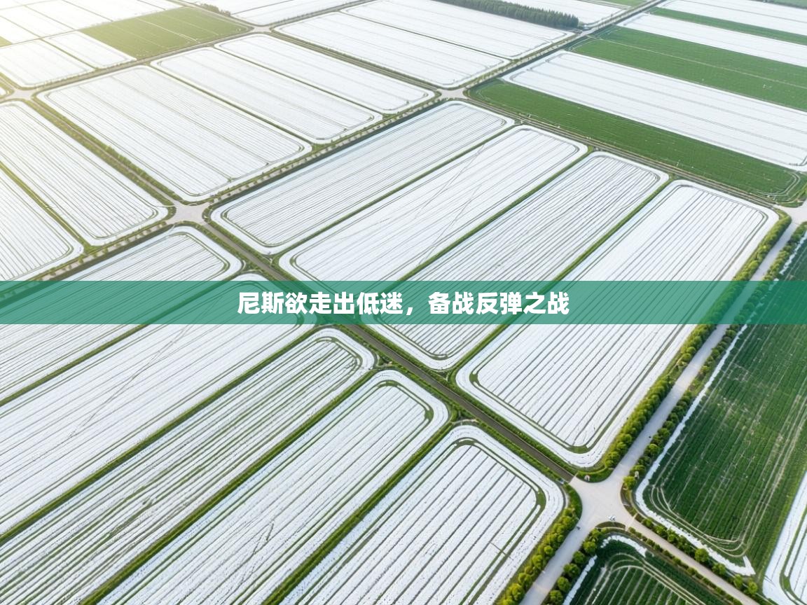 尼斯欲走出低迷，备战反弹之战