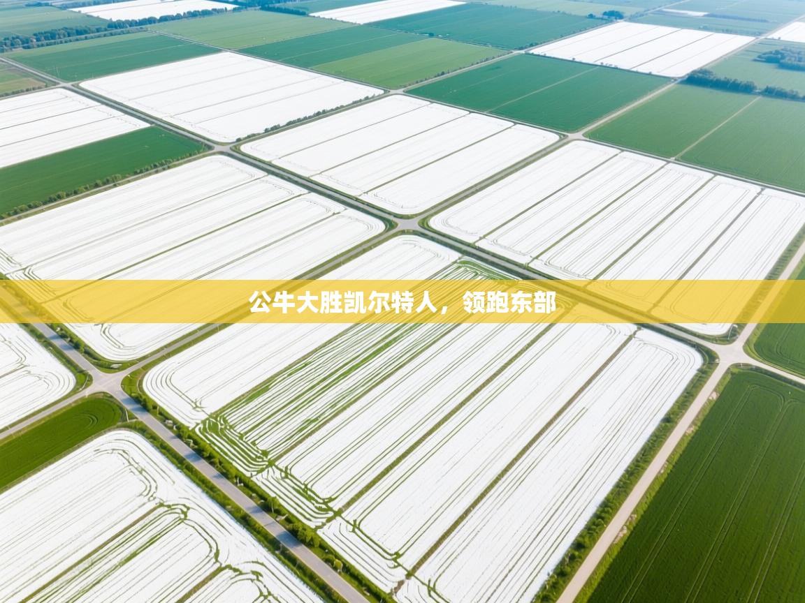 公牛大胜凯尔特人，领跑东部