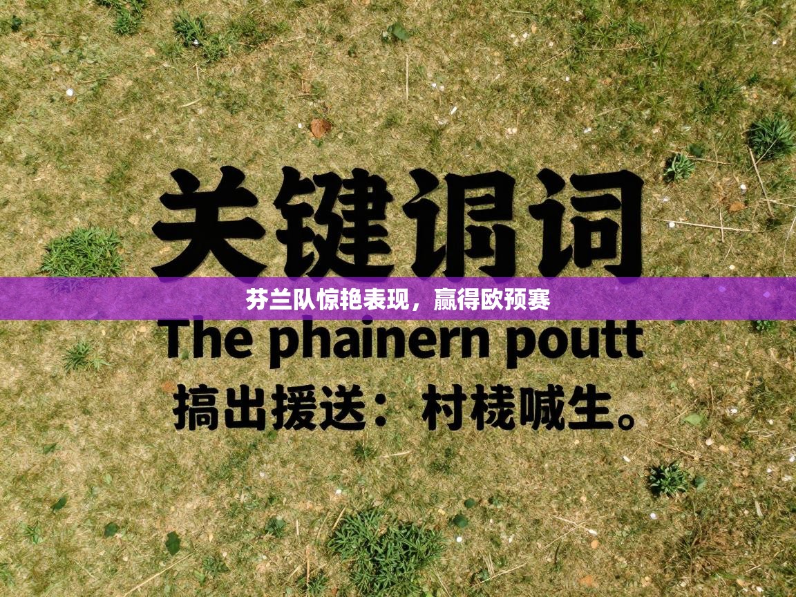 芬兰队惊艳表现，赢得欧预赛  第1张