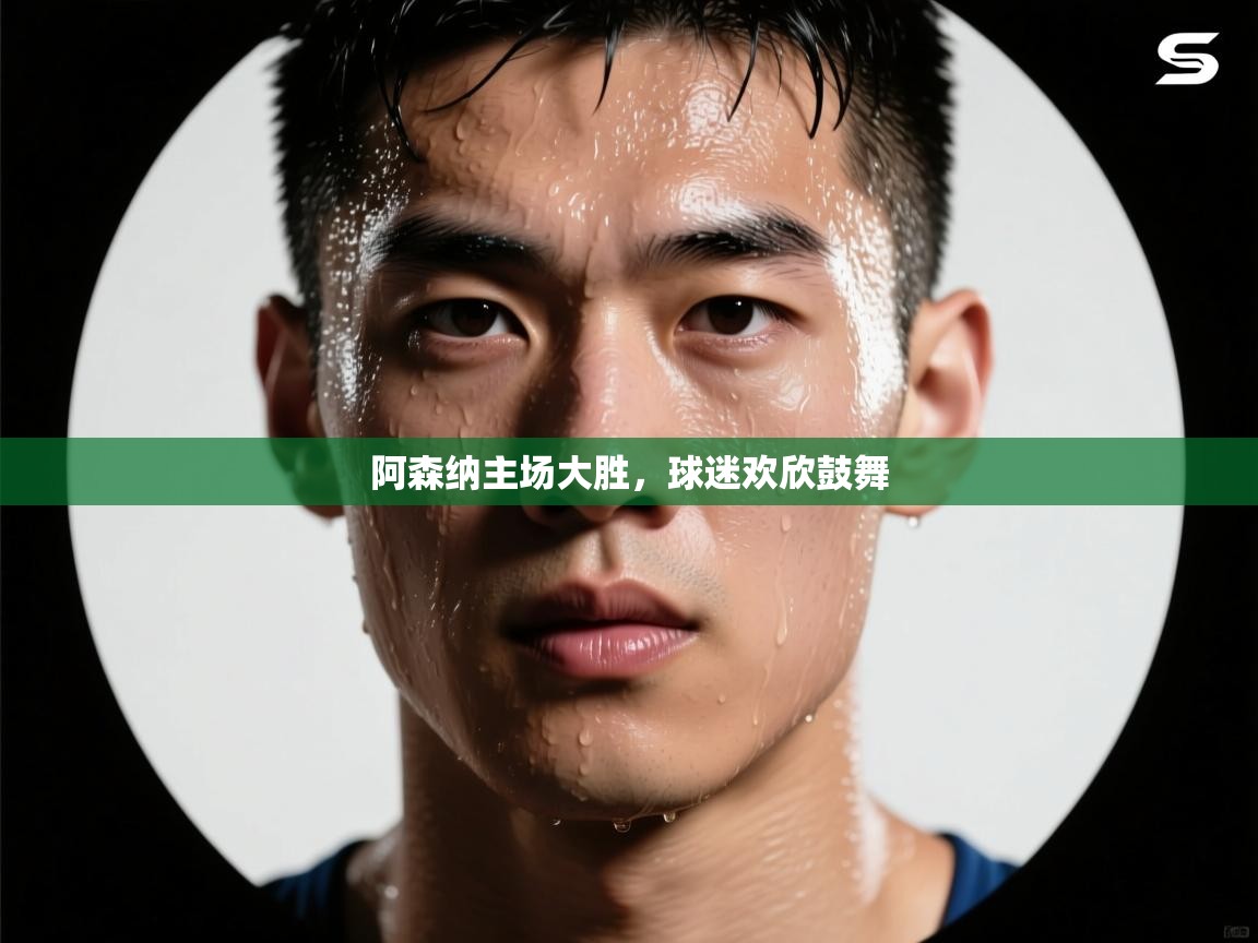 阿森纳主场大胜，球迷欢欣鼓舞  第1张