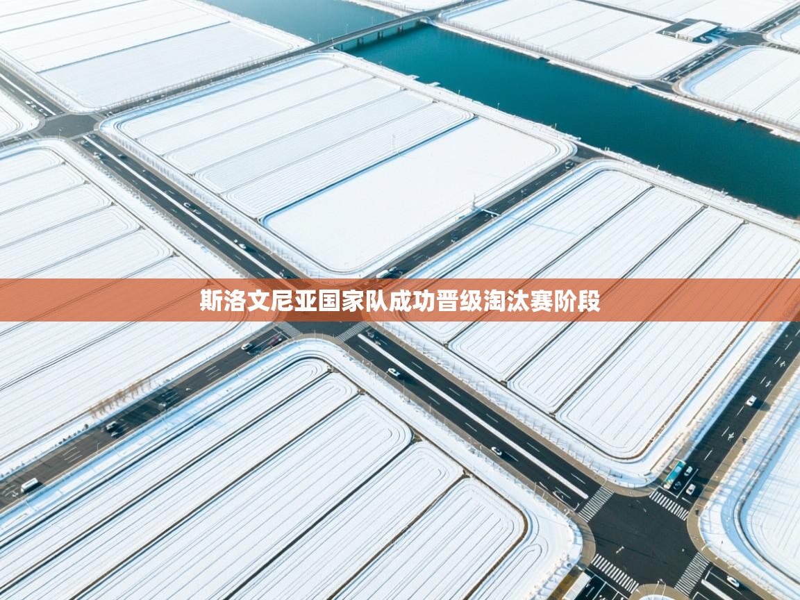 斯洛文尼亚国家队成功晋级淘汰赛阶段